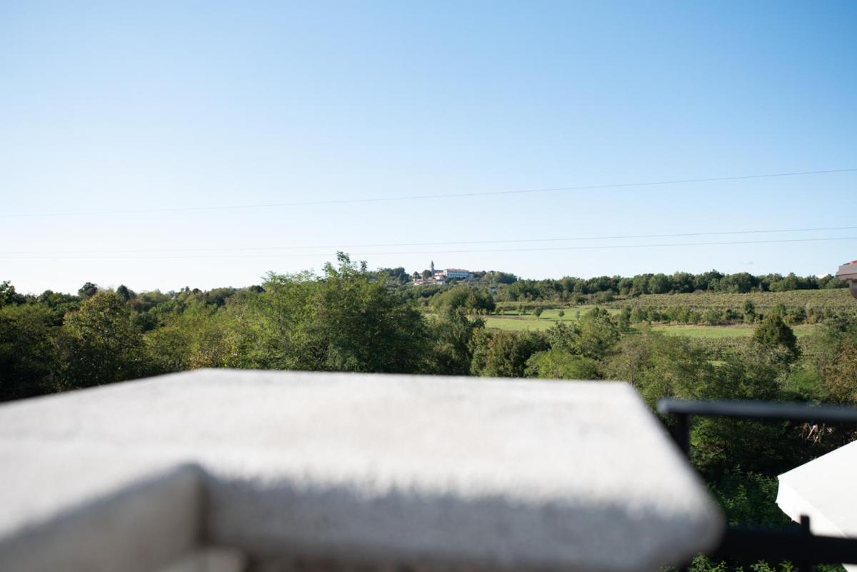 Castle House Rooms, Swimming Pool & Sauna & Tennis Court & Wine Cellar Sežana Esterno foto