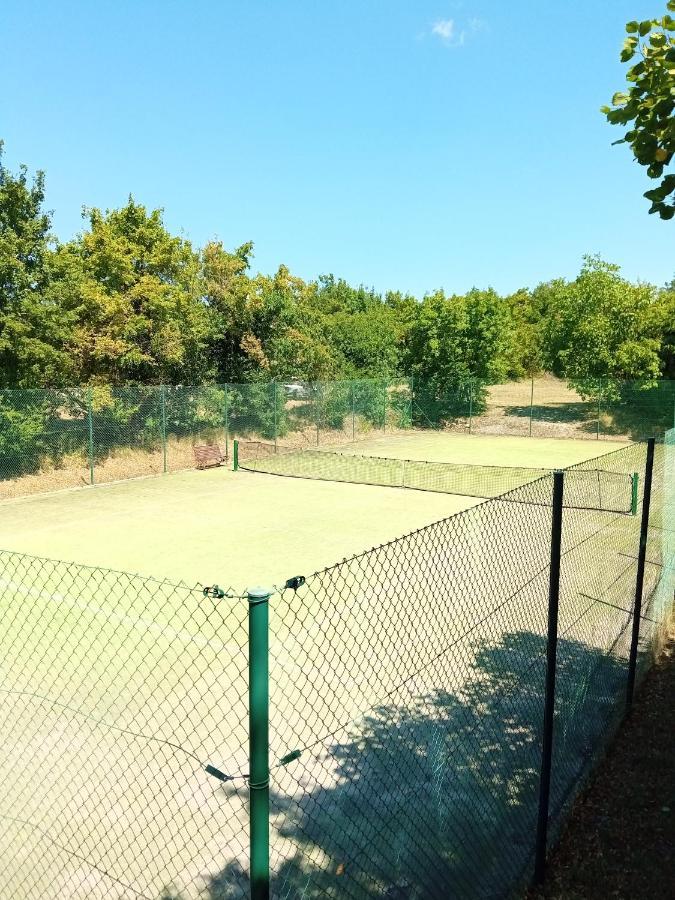 Castle House Rooms, Swimming Pool & Sauna & Tennis Court & Wine Cellar Sežana Esterno foto
